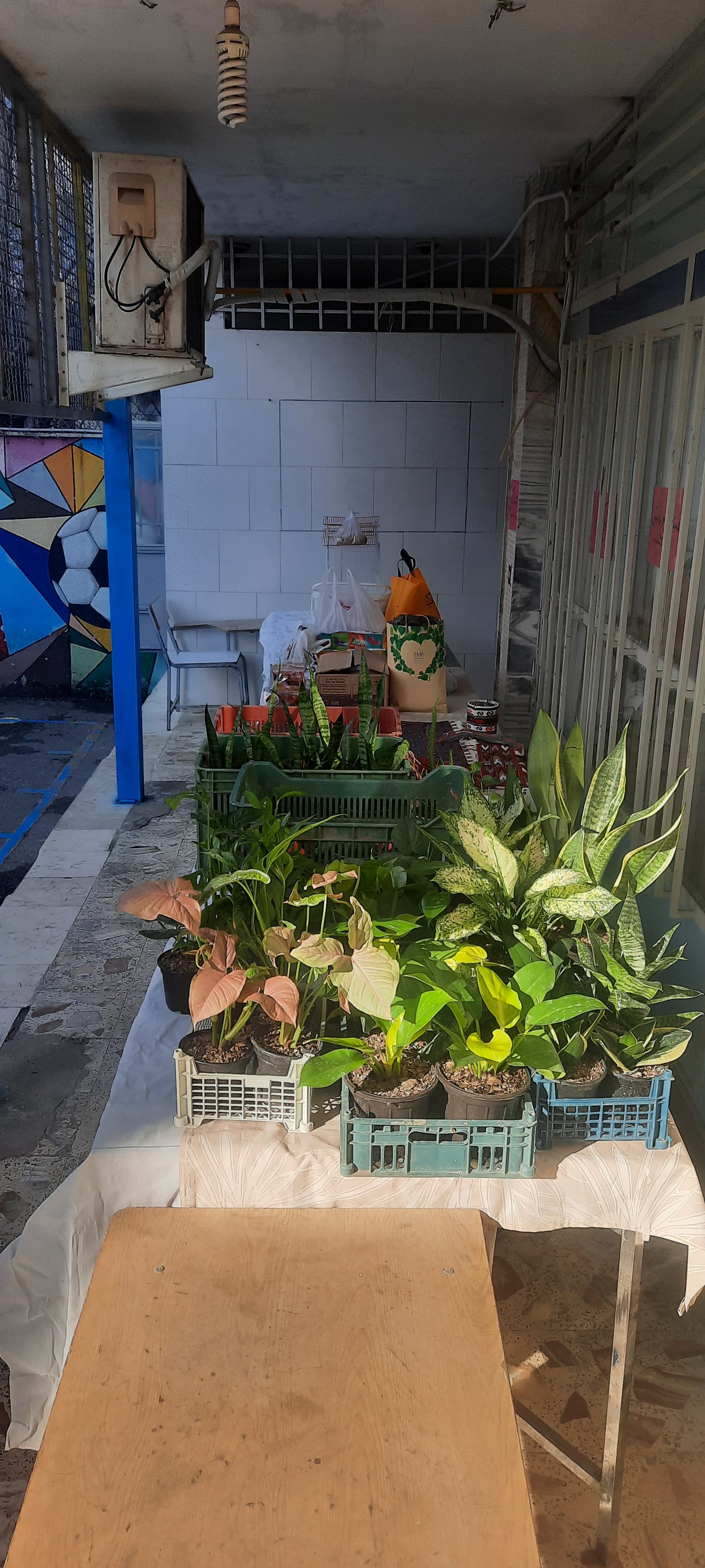 بازارچه کسب و کار