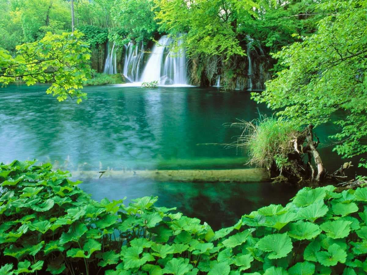تست آموزش